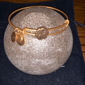 Alex and Ani Path of Life slider bracelet